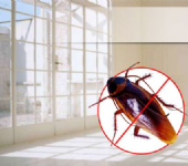 室內室外環境消毒除蟲